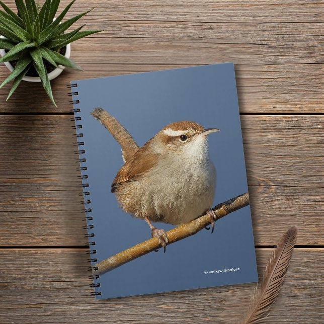 A Curious Bewick's Wren in the Tree Notebook (Curious Bewick's Wren on a Branch Journal Cover Photo)