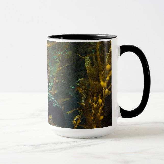A Curious Harbour Seal Kelp Forest | Santa Barbara Mug (Right)