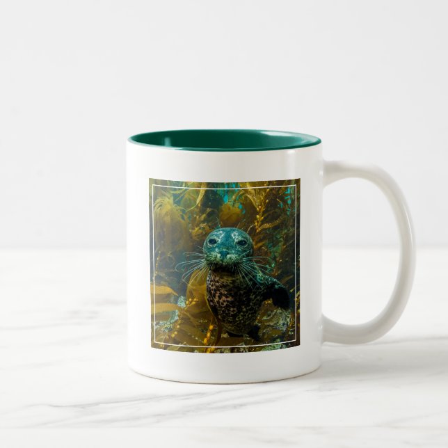 A Curious Harbour Seal Kelp Forest | Santa Barbara Two-Tone Coffee Mug (Right)