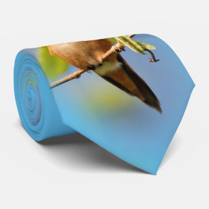 A Curious Rufous Hummingbird Tie