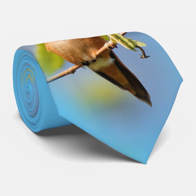 A Curious Rufous Hummingbird Tie (Rolled)