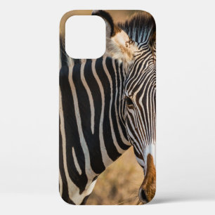 A CURIOUS ZEBRA AT SAMBURU NATIONAL RESERVE iPhone 12 CASE
