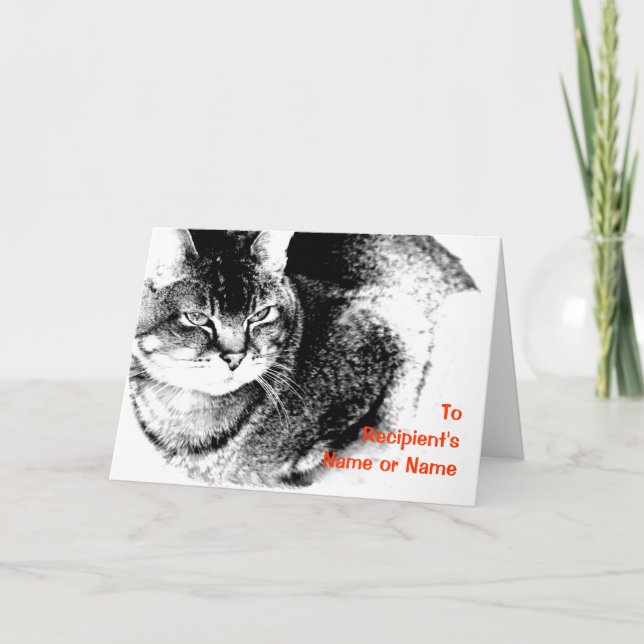 A Customisable 'Any Occasion' Greeting Card - Cat (Front)