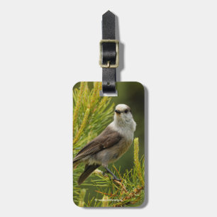 A Cute and Curious Grey Jay / Whiskeyjack Luggage Tag