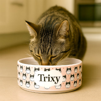 A Cute and Personalised Cats Bowl