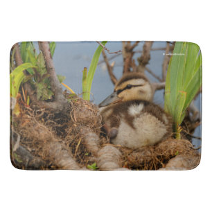 A Cute and Precocious Mallard Duckling Bath Mat