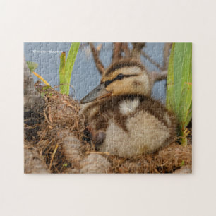 A Cute and Precocious Mallard Duckling Jigsaw Puzzle
