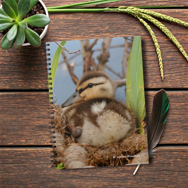 A Cute and Precocious Mallard Duckling Notebook (Mallard Gosling at the Pond Journal Cover Photo)