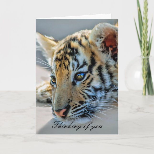 A cute baby tiger card (Front)