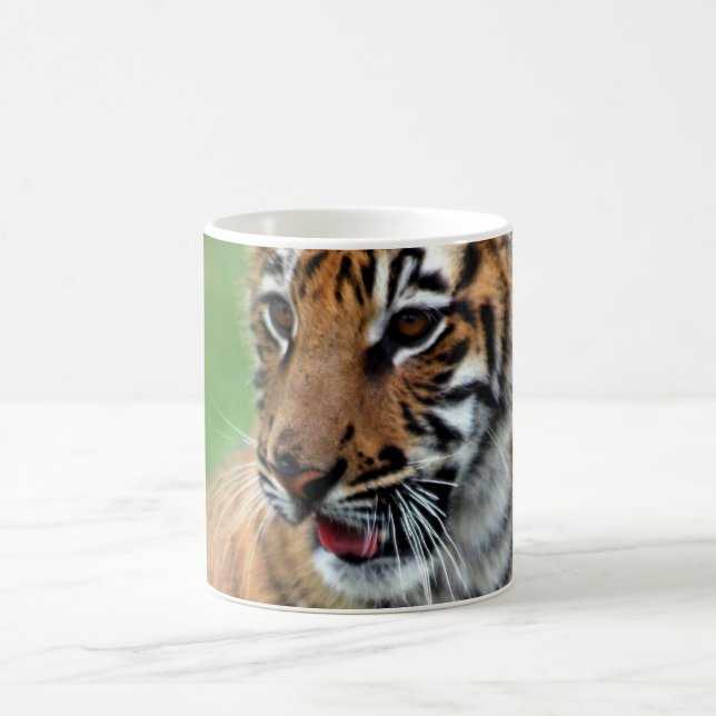 A cute baby tiger coffee mug (Center)