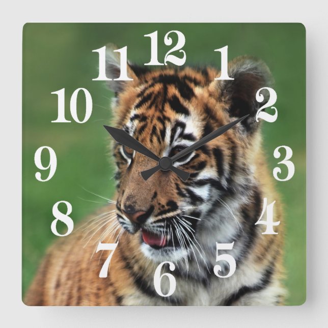A cute baby tiger square wall clock (Front)