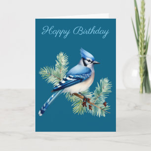 A Cute Blue Jay  Card