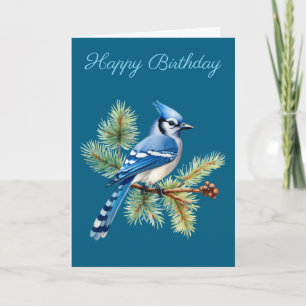 A Cute Blue Jay  Card