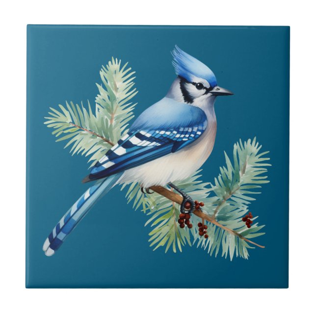 A Cute Blue Jay  Ceramic Tile (Front)