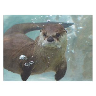 A cute Brown otter swimming in a clear blue pool Tablecloth