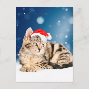 A Cute Cat wearing red Santa hat Christmas Snow Holiday Postcard