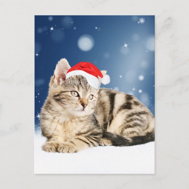 A Cute Cat wearing red Santa hat Christmas Snow Holiday Postcard (Front)