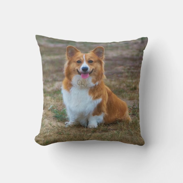A cute Corgi dog throw pillow (Front)