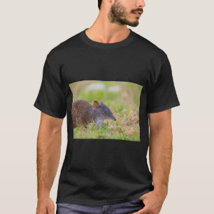 A Cute Crash Bandicoot Out Foraging T-Shirt
