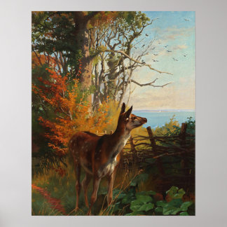 A Cute Deer In The Forest Poster