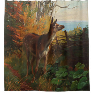 A Cute Deer In The Forest  Shower Curtain