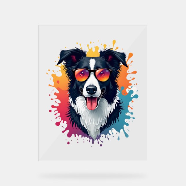A cute dog Border Collie [RB#10009]  Acrylic Sign (Front)