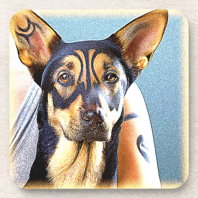"A Cute Dog" Cute Photo. Buy Now Coaster (Front)