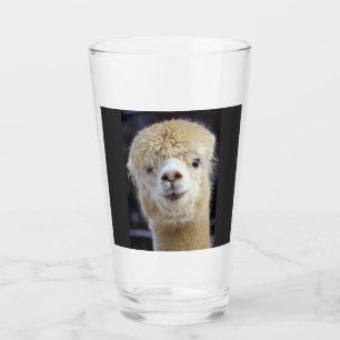 A cute fluffy face of an alpaca          glass