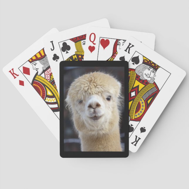 A cute fluffy face of an alpaca    playing cards (Back)