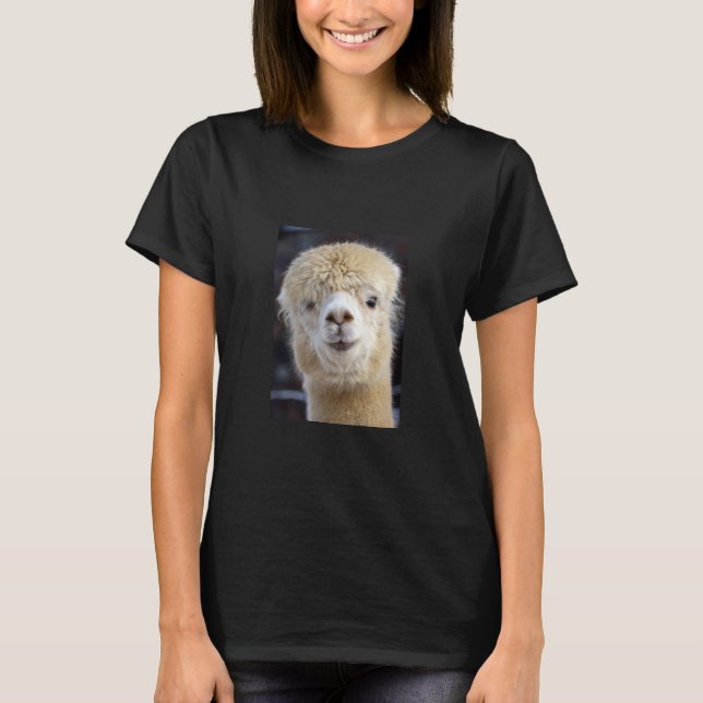 A cute fluffy face of an alpaca         T-Shirt (Front)