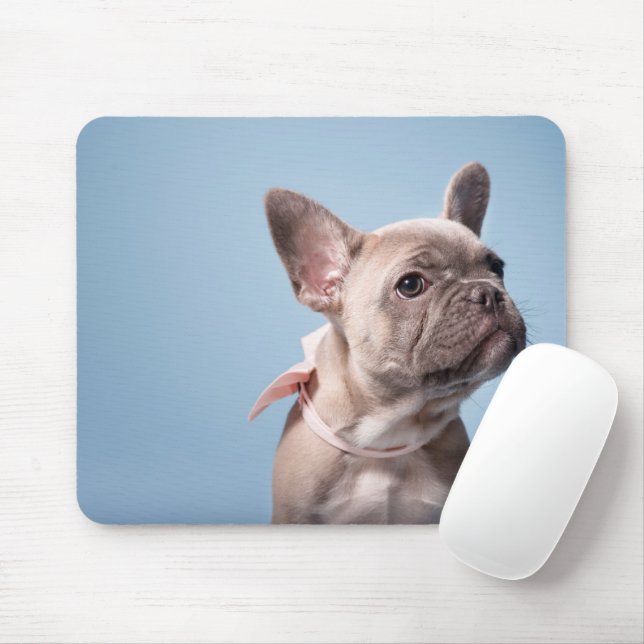 A Cute French Bulldog Mouse Pad (With Mouse)