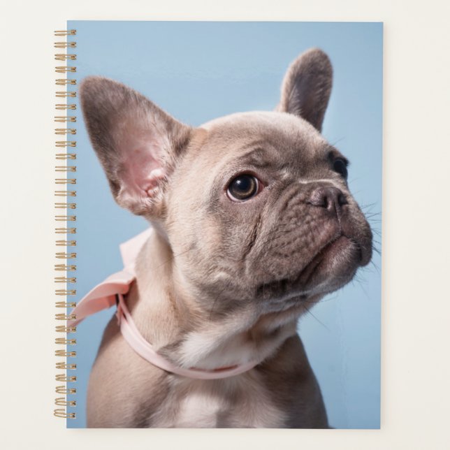 A Cute French Bulldog Planner (Front)