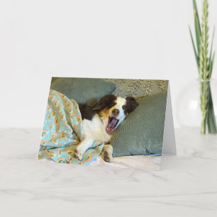 A cute get well card, dog photo thank you card