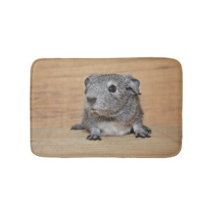 A Cute Grey Guinea Pig on Brown Wood Bath Mat