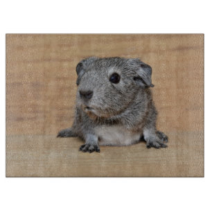 A Cute Grey Guinea Pig on Brown Wood Cutting Board