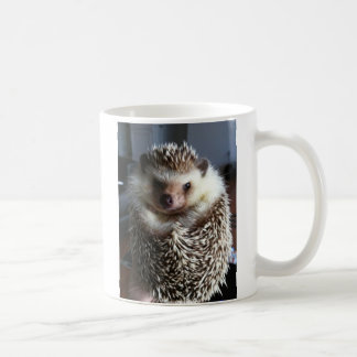 A cute hedgehog coffee mug