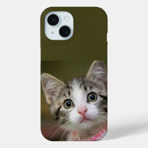 A cute kitten with green eyes iPhone 15 case
