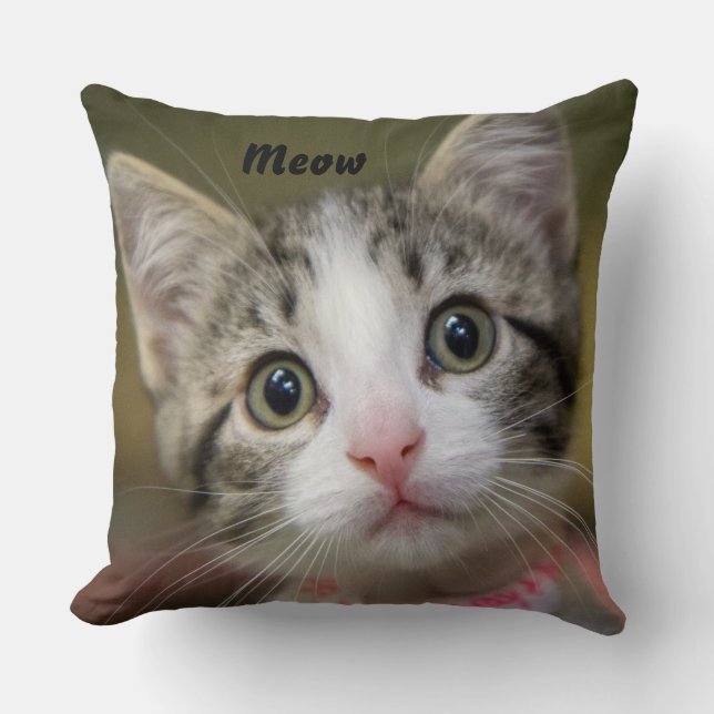 A cute kitten with green eyes cushion (Front)