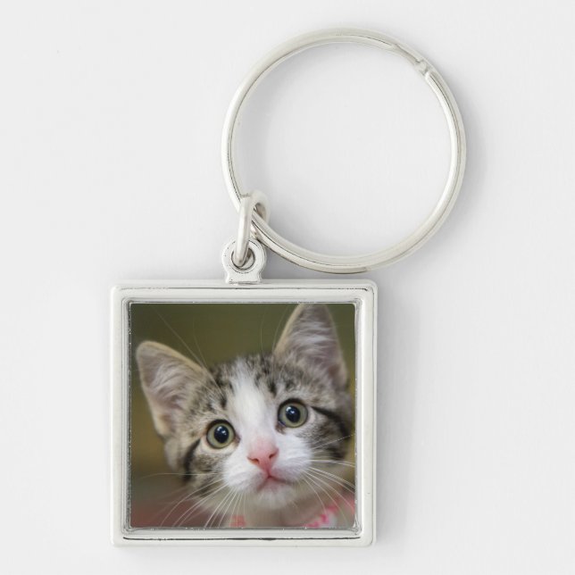 A cute kitten with green eyes key ring (Front)