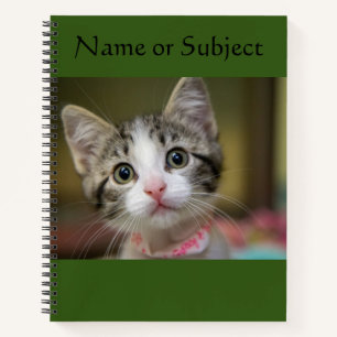 A cute kitten with green eyes notebook