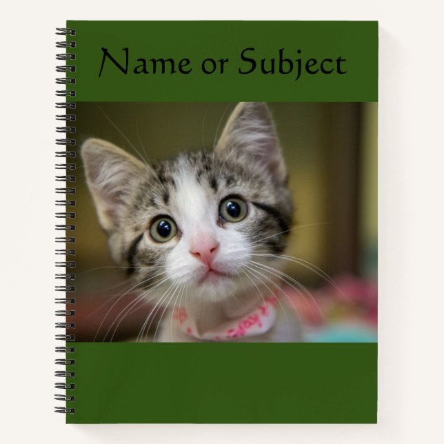 A cute kitten with green eyes notebook (Front)
