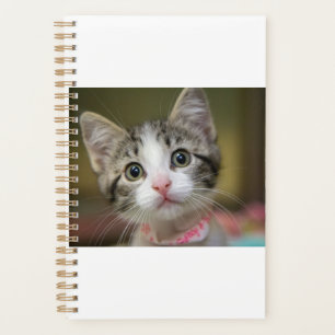 A cute kitten with green eyes planner