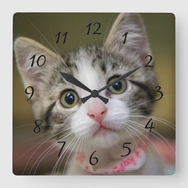 A cute kitten with green eyes square wall clock (Front)