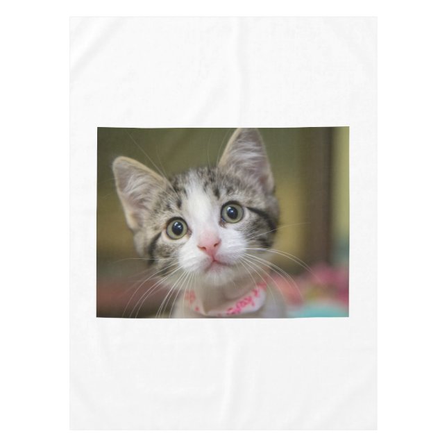 A cute kitten with green eyes tablecloth (Front)