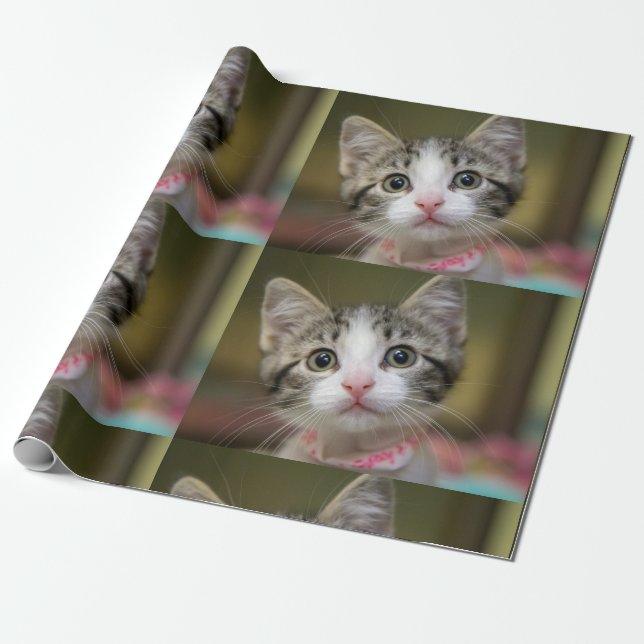 A cute kitten with green eyes wrapping paper (Unrolled)