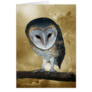 A Cute little Barn Owl Fantasy