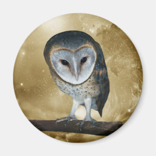 A Cute little Barn Owl Fantasy Magnet