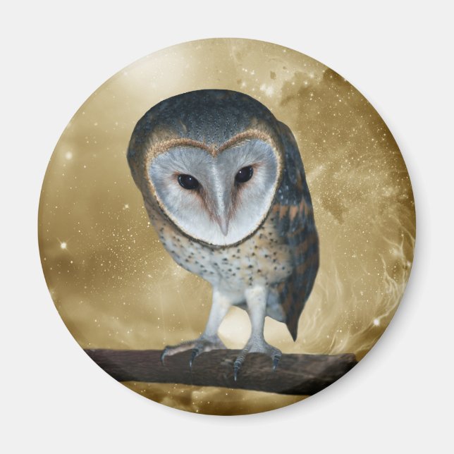 A Cute little Barn Owl Fantasy Magnet (Front)