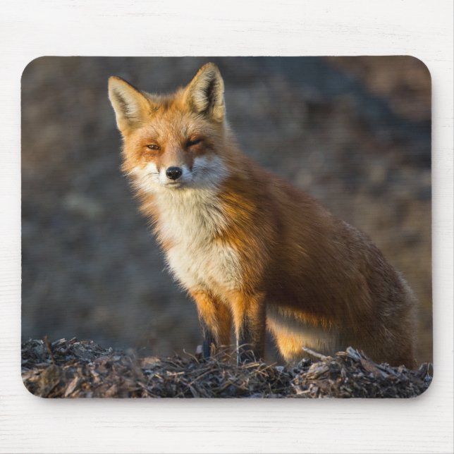 A Cute Little Fox Mouse Pad (Front)