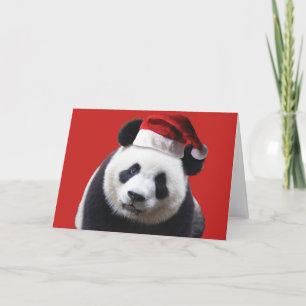A Cute Panda Bear wearing a Santa Claus Hat Holiday Card